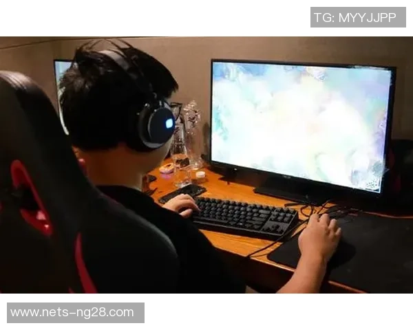 RNG在精英赛中的耐力表现分析与战术解读