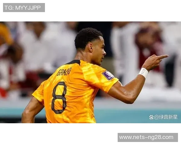 加克波：从新星崛起到足坛巨星的华丽转身与未来展望